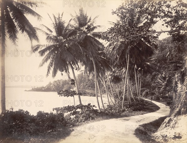 Coastal road near Port Antonio. A road winds through vegetation along the Portland coastline. Near Port Antonio, Jamaica, circa 1891. Port Antonio, Portland, Jamaica, Caribbean, North America .