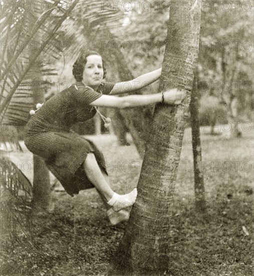 Mavis climbs a palm tree, Calcutta. A British woman called Mavis stifles a laugh as she tries to climb a palm tree without shoes. Calcutta (Kolkata), India, October 1934. Kolkata, West Bengal, India, Southern Asia, Asia.