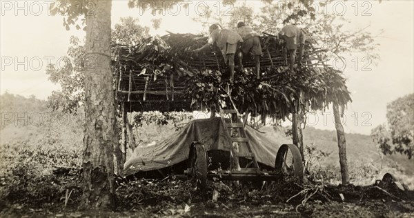 Building a garage, Tanganyika. Three African men construct a thatched roof for a garage, under which sits a piece of agricultural machinery or a vehicle covered in tarpaulin. Moshi, Tanganyika Territory (Tanzania), circa 1930. Moshi, Kilimanjaro, Tanzania, Eastern Africa, Africa.