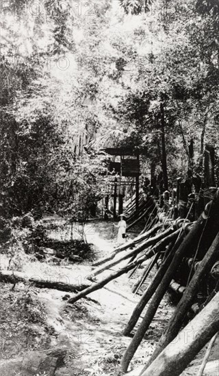 Elephant kraal, Ceylon. View along the stockade of an elephant kraal (enclosure), into which wild elephants are herded and captured. A stilted hut stands above the stockade, from where the kraal is directed. Ceylon (Sri Lanka), 1912. Sri Lanka, Southern Asia, Asia.