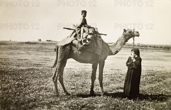 Palestinian boy riding a camel. A woman in traditional Arabic dress leads a saddled camel, on which a young boy is riding, through the Palestinian countryside. British Mandate of Palestine (Middle East), circa 1942., Middle East, Asia.