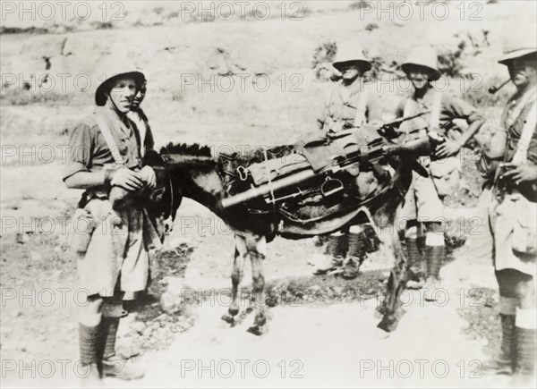 A military pack donkey, Palestine. British soldiers travel along a rural road with a heavily laden pack donkey. During the period of the Great Uprising (1936-39), an additional 20,000 British troops were deployed to Palestine in an attempt to clamp down on Arab dissidence. British Mandate of Palestine (Middle East), circa 1938., Middle East, Asia.