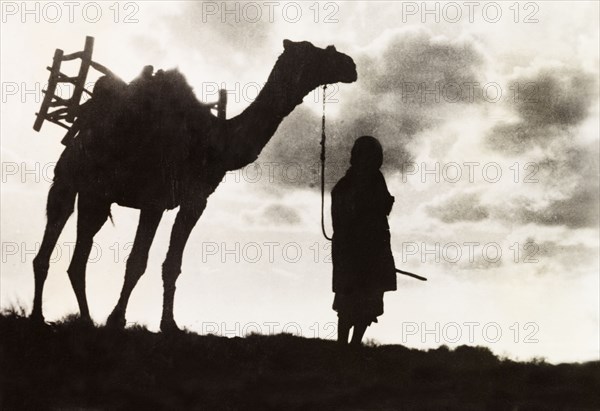 Silhouetted man and camel. The figure of a Arab man leading a camel along a ridge is silhouetted in the evening sun. British Mandate of Palestine (Middle East), circa 1938., Middle East, Asia.