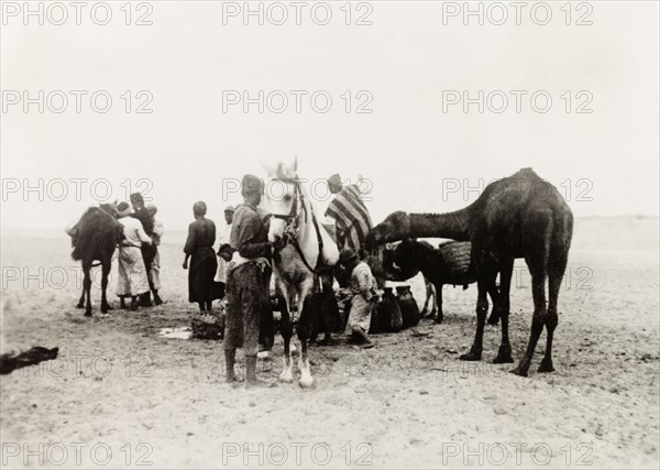 Travellers in the Negev Desert. A group of travellers attend to their horses as they journey through the Negev Desert. South of Be'er Sheva, British Mandate of Palestine (Israel), circa 1938. Be'er Sheva, South (Israel), Israel, Middle East, Asia.