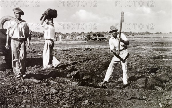 Extracting asphalt from the Pitch Lake. A labourer uses a pickaxe to extract lumps of asphalt from the Pitch Lake, a natural asphalt lake located on Trinidad's west coast. La Brea, Trinidad, circa 1930. La Brea, Trinidad and Tobago, Trinidad and Tobago, Caribbean, North America .