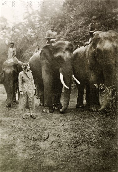 Elephants at a coffee estate. Mahouts (elephant handlers) ride elephants through a clearing at the Boultbees' coffee estate. Karnataka, India, circa 1936., Karnataka, India, Southern Asia, Asia.