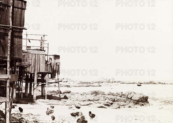 Chinese settlement at Soquel. Stilted wooden huts belonging to a Chinese settlement stand on the beach at Soquel. Soquel, California, United States of America, 1902., California, United States of America, North America, North America .