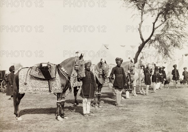 Caparisoned horses at Coronation Durbar, 1903. Caparisoned horses belonging to the Maharajah of Patiala's royal entourage are lined up by uniformed servants, as they prepare to participate in a state procession at the Coronation Durbar. Delhi, India, circa 1 January 1903. Delhi, Delhi, India, Southern Asia, Asia.