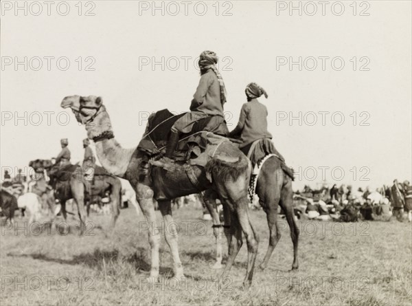 Camel riders at Coronation Durbar, 1903. Guests mounted on camels at Edward VII's Coronation Durbar. Delhi, India, circa 1 January 1903. Delhi, Delhi, India, Southern Asia, Asia.