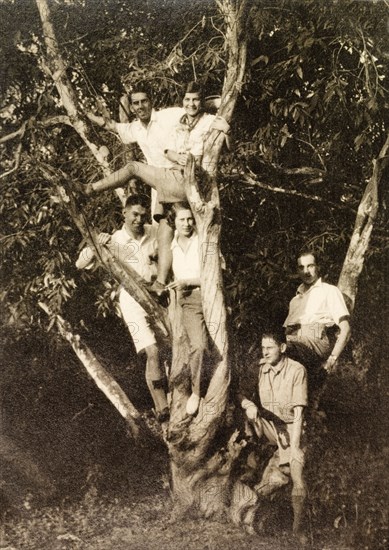 Picnicking at Baruipur. A group of male and female friends pose playfully in a tree during a picnic at Baruipur. Baruipur, Bengal (West Bengal), India, 1931. Baruipur, West Bengal, India, Southern Asia, Asia.