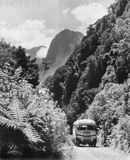 A bus at Milford Sound . A bus travels along a dirt road flanked by dense vegetation at Milford Sound, or 'Piopiotahi' in Maori. The distinctive summit of Lion's Peak rises up in the distance. Southland, New Zealand, 1966., Southland, New Zealand, New Zealand, Oceania.