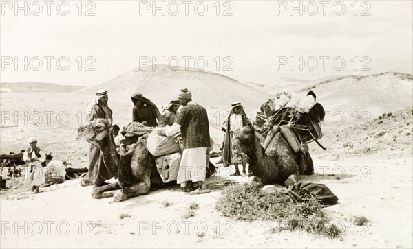 Loading up camels in Al-Masfara. A party of travellers loads up its camels during a journey through Al-Masfara, a mountainous region to the west of the Dead Sea. British Mandate of Palestine (West Bank, Middle East), 2-9 April 1941., West Bank, West Bank (Palestine), Middle East, Asia.