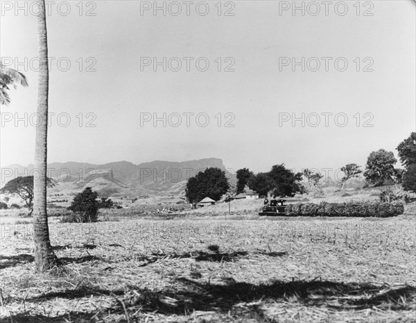 A train on its way to the Lautoka Sugar Mill. A small steam train loaded with harvested sugar cane crosses a bare field on its way to the Lautoka Sugar Mill. Viti Levu, Fiji, 1965., Viti Levu, Fiji, Pacific Ocean, Oceania.