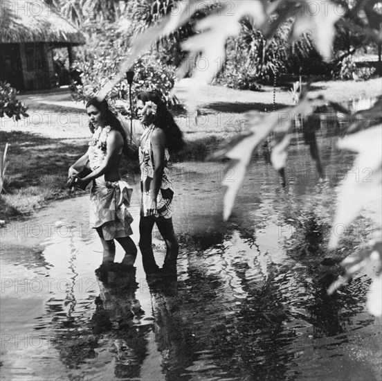 Two Tahitian women. Two Tahitian women walk along a shallow stream, wearing floral print 'pareus' (sarongs) and flowers. Tahiti, French Polynesia, 1965., Windward Islands (including Tahiti), French Polynesia, Pacific Ocean, Oceania.