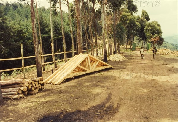 Roof trusses for sale at Mafuga sawmill. Roof trusses made from cypress thinnings are stacked up for sale at a new sawmill in Mafuga Forest. Mafuga, Kigezi, South West Uganda, September 1963., West (Uganda), Uganda, Eastern Africa, Africa.