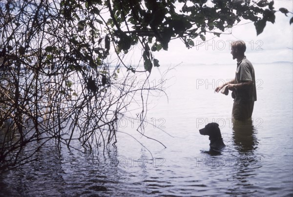 Beware of hippo'. Accompanied by his dog, District Forest Officer James Lang Brown wades tentatively through the shallows of Lake Victoria off Buvuma Island, wary of hippopotamus. Uganda, 1962., Central (Uganda), Uganda, Eastern Africa, Africa.