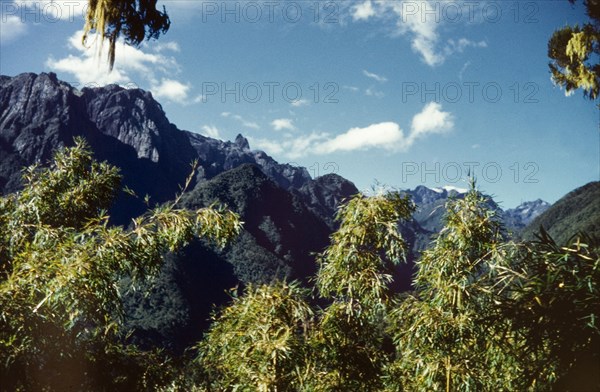 Portal Peaks from Nyamileju . View of the Portal Peaks from Nyamileju hut in the Rwenzori (Ruwenzori) Mountains at an altitude of 10500 feet (3200 metres). West Uganda, 1956., West (Uganda), Uganda, Eastern Africa, Africa.