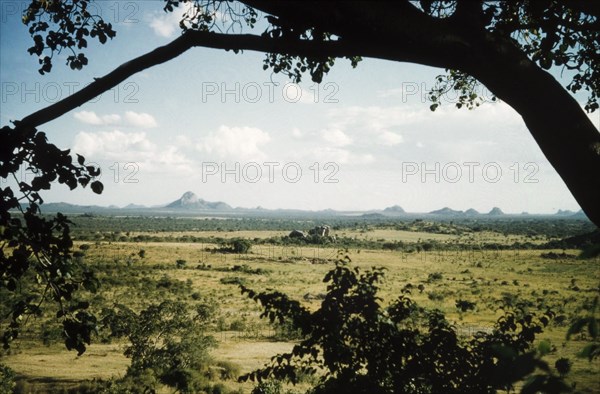 Dodoth county scrubland. View across semi-desert in Dodoth county, taken from Kaabong in Karamoja. Kaabong, North East Uganda, 1958., North (Uganda), Uganda, Eastern Africa, Africa.