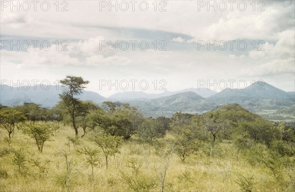 The Morongole bush. View south west from Morongole, north Karamoja, looking towards the Nangeya-Napore hills. North East Uganda, 1958., North (Uganda), Uganda, Eastern Africa, Africa.