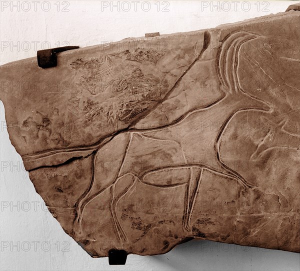 Stone Age rock engraving of a bull, possibly from the Cattle Period (4,000   2,000 BC)