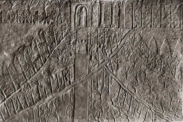 A stone relief from the palace of Ashurbanipal at Ninevah