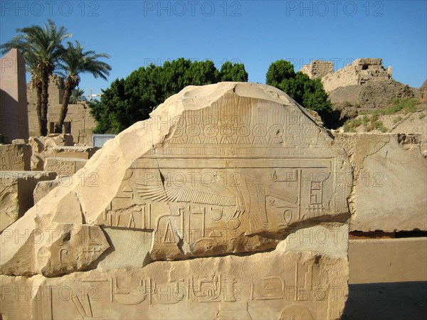 Details of a falcon clutching a solar disc from a hieroglyphic inscription