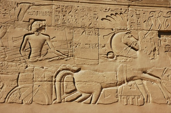 View of the giant relief decoration on the outside northern wall of the Great Hypostyle Court