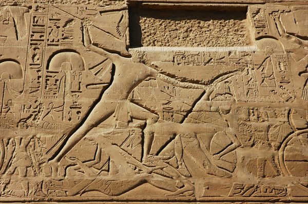 View of the giant relief decoration on the outside northern wall of the Great Hypostyle Court