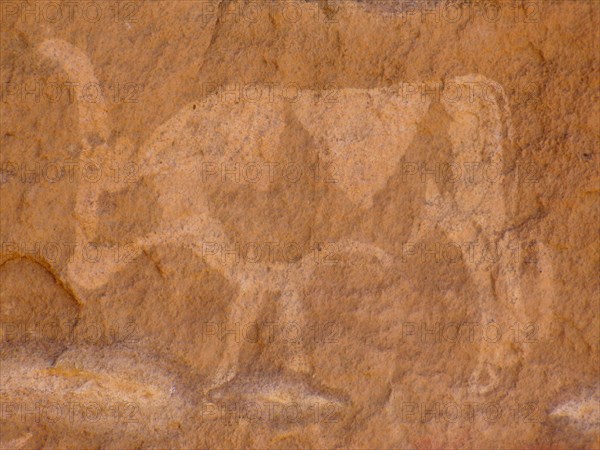 Rock painting of cattle