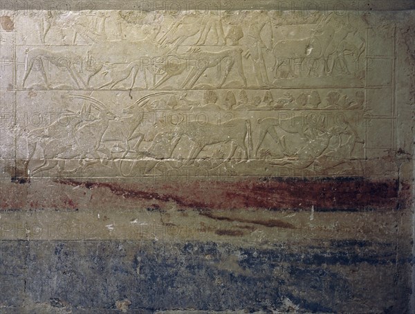 A scene in relief in the tomb of the vizier Mereruka showing wild dogs attacking antelope