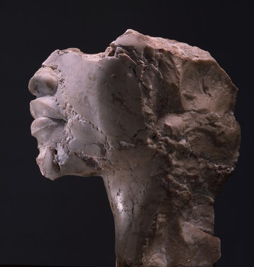 Fragment of an Amarna head