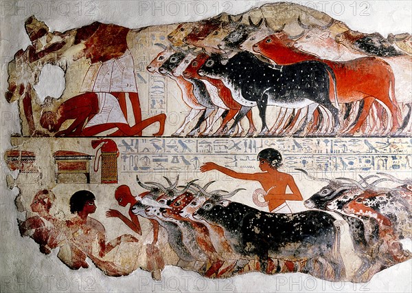 A fragment of a painting from the tomb of Nebamun