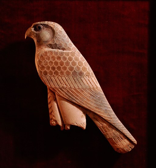 Horus Falcon