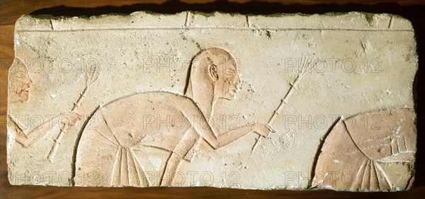 A fragment of a relief