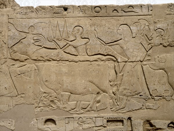 Relief from a processional colonnade of Ramses II in his temple at Luxor, showing part of procession with offerings at the annual festival of Opet