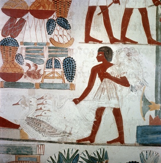 A detail of a painting from the tomb of Nakht