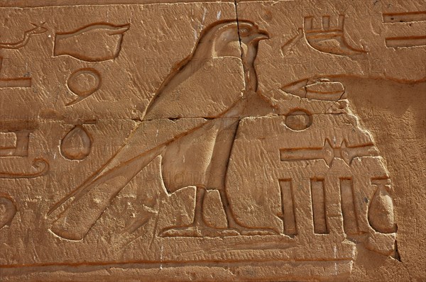 Hieroglyph of a falcon, the sacred bird of Horus, on the outside wall of the Pylon