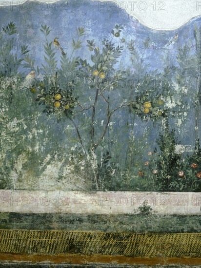 Detail of the fresco from the main hall of Livias villa at Prima Porta, outside Rome