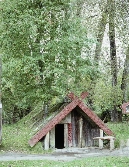 The house of the tohunga (chief) Tuhoto at the village of Te Wairoa, which was buried by the eruption of the volcano Mt