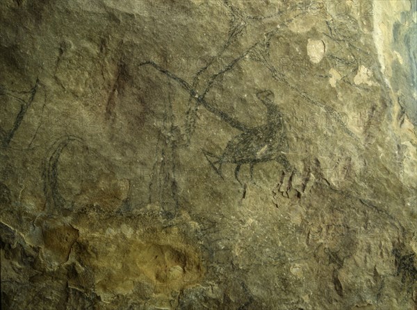 An archaic Maori rock drawing