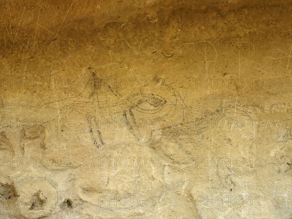 A Maori rock drawing of a man on horseback