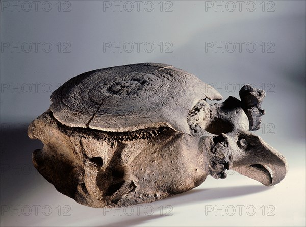 A large vessel made from a whale vertebra