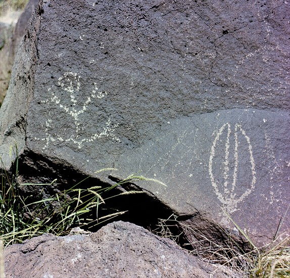 The Rio Grande petroglyphs