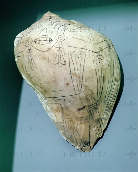 Conch shell incised with a flying shaman wearing sun circle ear plugs and feathers that double as winged eyes