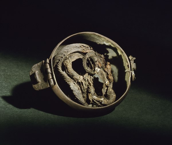 Locket containing the remains of a snake