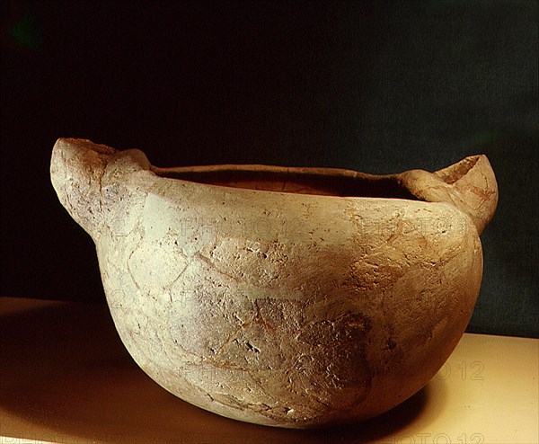 Bowl