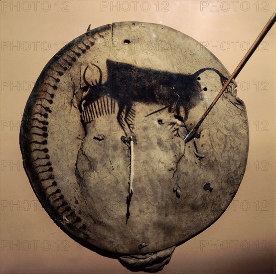 Shield painted with an image of a bison