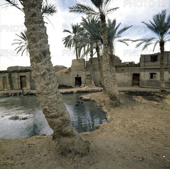 Fayum Oasis