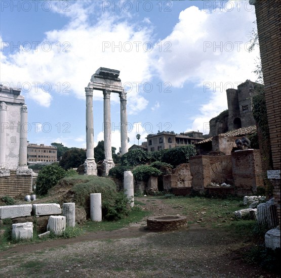 The Roman Forum