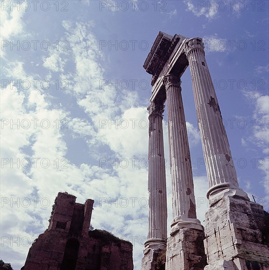 The Roman Forum